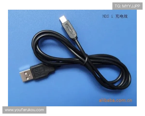 欧博官方登录网址查询入口详细介绍，确保用户安全便捷登录平台